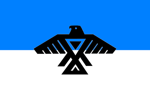 File:Flag of Ojibwe (The Kalmar Union).svg.png