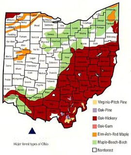 Ohio Forrest
