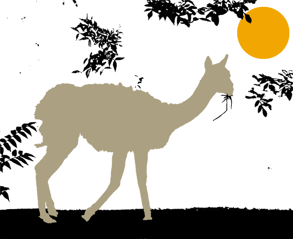 File:Vicuna of the East.png