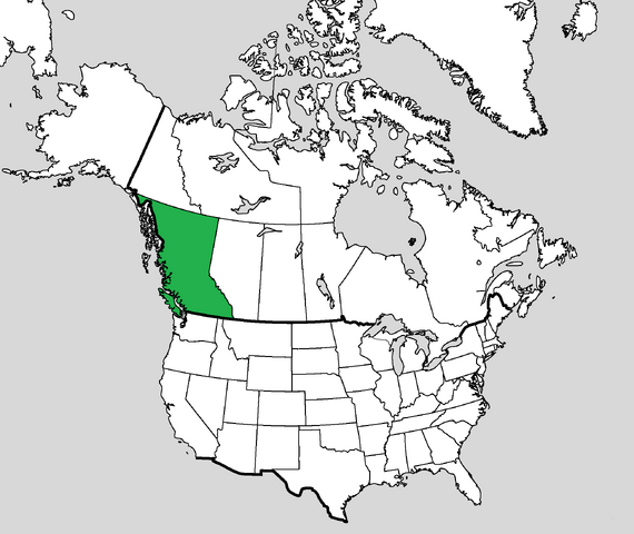 File:Wcs-BCmaphist.png