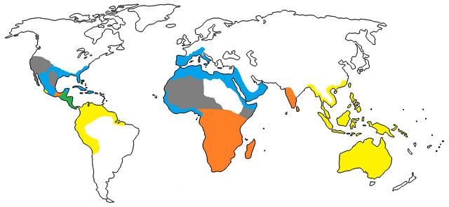 File:1800 A.D..png
