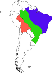 Brazil civil war 6