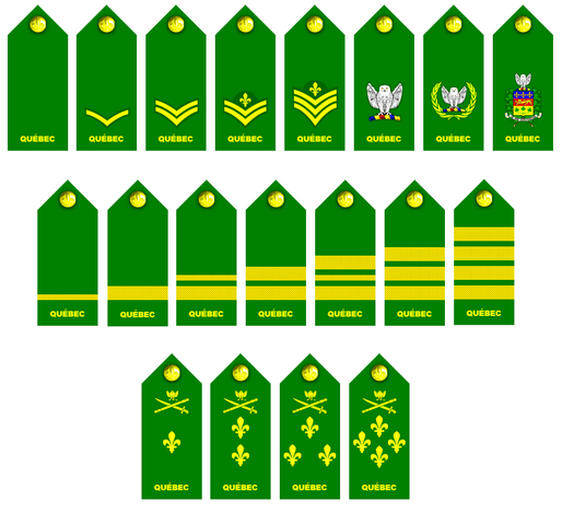 File:Vg-qc1.png