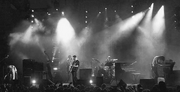 Manichedgehog-tour