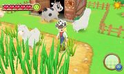 Harvest Moon 3DS