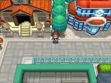 Pokemon Black