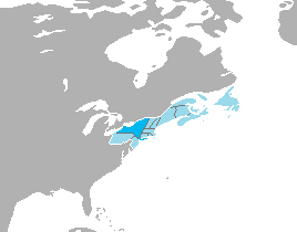File:New Yorkstate.png