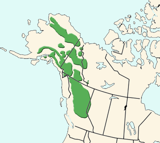 File:Ovis-dalli-map.png