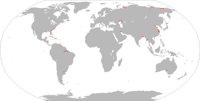 File:Moon31.png