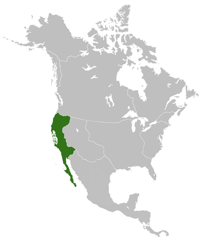File:SV-KaliforniaMap.png