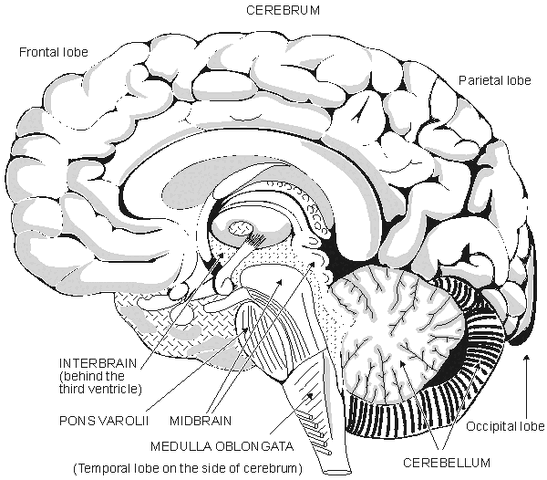File:0505.gif