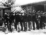Rhodesians parade on Reunification Day, 1884
