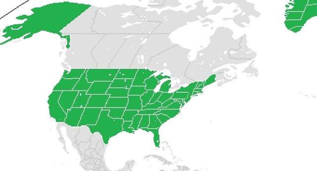 File:USA (Hitler The Artist) Map.jpg