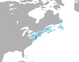 File:New Jersey.png
