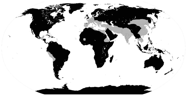 File:476 start.png