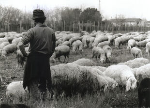 Pasqua. Easter