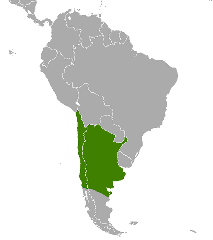 File:Argentina.png