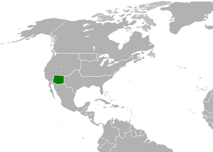 New texas