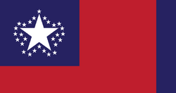 CSFlag28