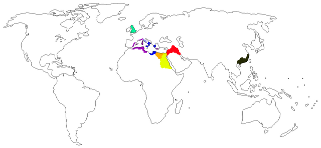 File:Random Names.png