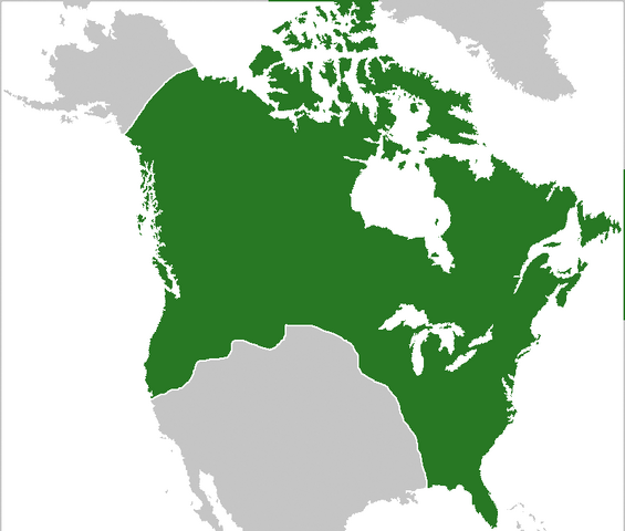 File:Commonwealth of America.png