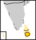 Kotte 1656