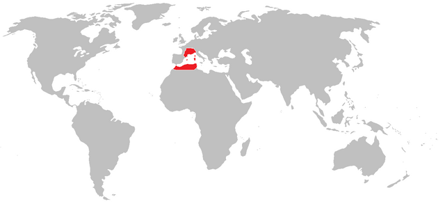 File:Swiss empire.png