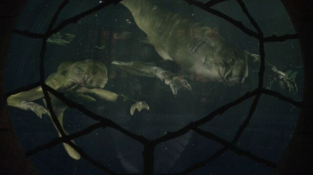 File:Aquatic councilors.jpg