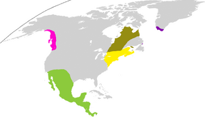 MapNAm