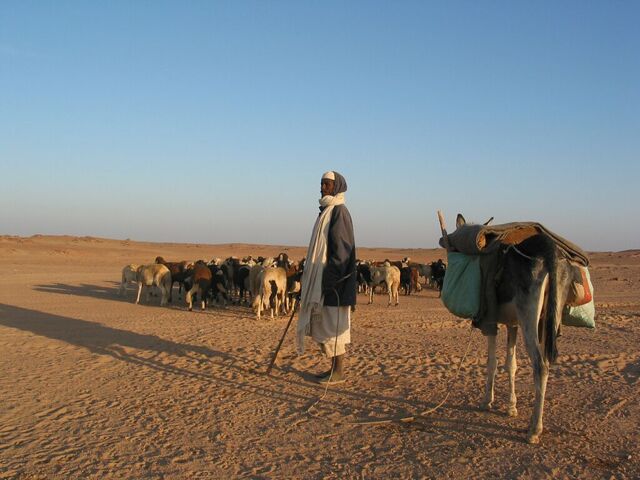 File:Desert Herder.jpg
