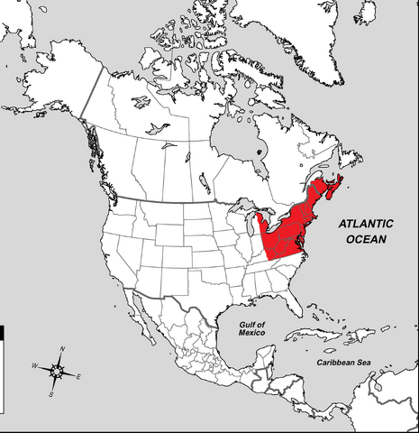 File:Poilitical Map 1.png