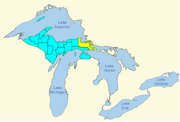 Superior1992democraticprimarymap