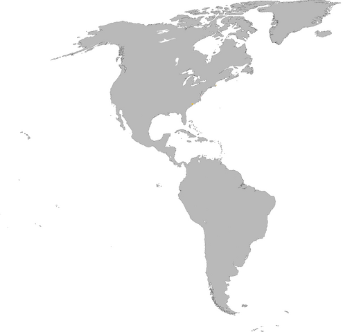 File:1600.png
