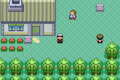 Pokemon Sapphire