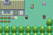 Pokemon Sapphire