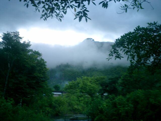 File:Lacandona.jpg