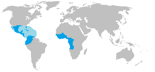 File:Aztec empire,after the african wars.png