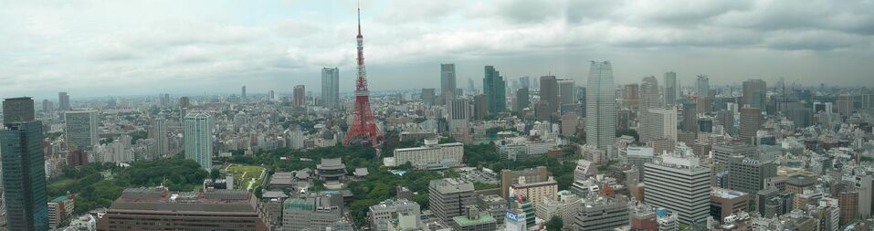 JPN Tokyo Pan 02 (VegWorld)