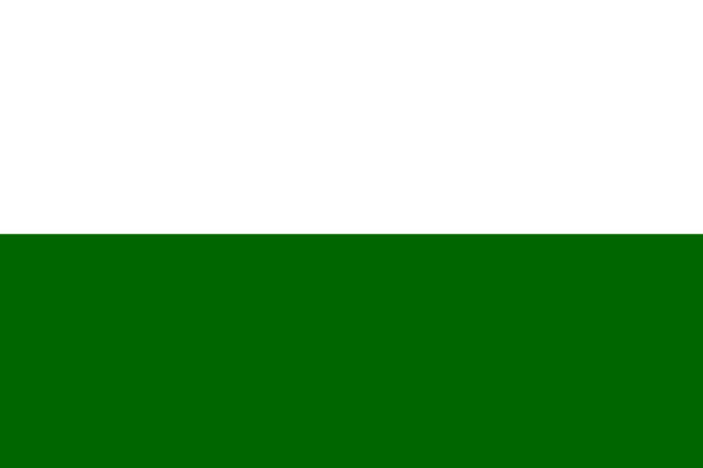 File:Flag of Steiermark.png