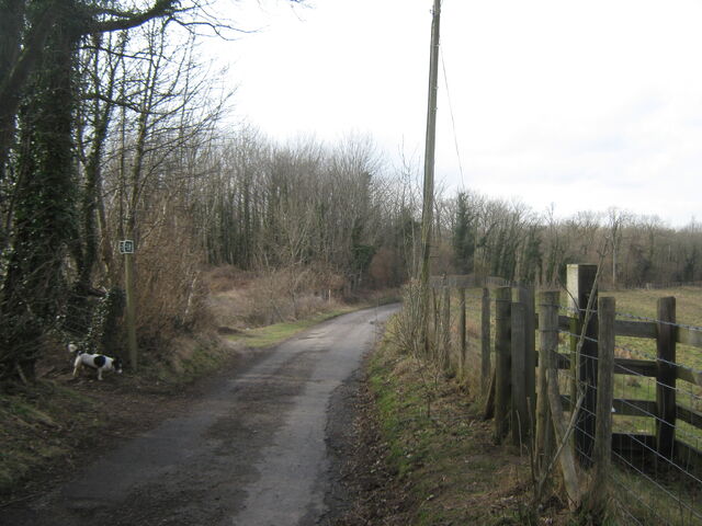 File:AVAR Wolgast path.jpg