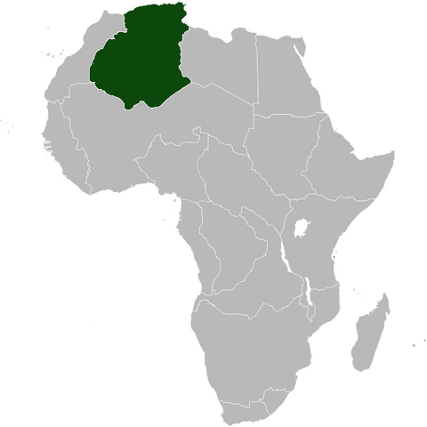 File:Algeria Africa NW.png