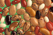 Various Pulses (beans)