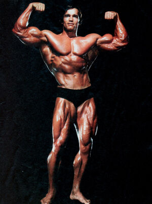 Arnold Schwarzenegger-1-