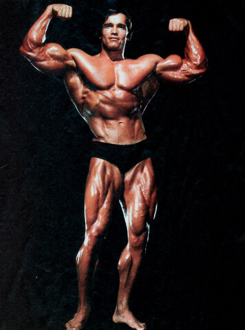 File:Arnold Schwarzenegger-1-.jpg