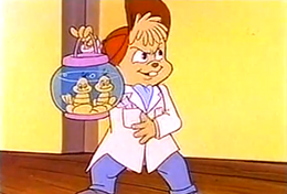 Buford bubbles
