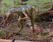 Ornitholestes