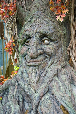 File:Talking Tree at Bellagio.jpg
