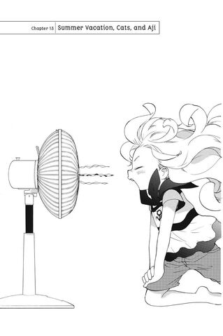File:Chapter13.jpg