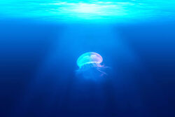 Wiki-background