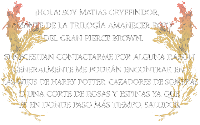 Archivo:Matias Gryffindor perfil.png